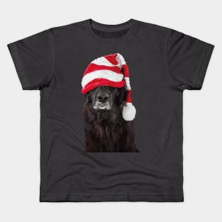 Santa Dog Kids T-Shirt